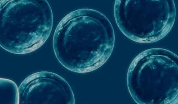 Foto de Introdução a citologia – Como as células são estudas