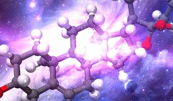 As Moléculas da vida